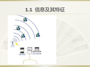 信息与信息技术课件